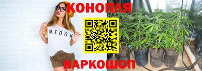мяу мяу мука Бугуруслан