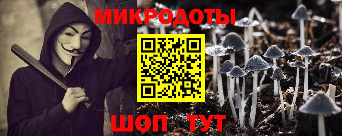 Семёнов  дарнет шоп  Вход с VPN  Псилоцибиновые грибы мицелий 